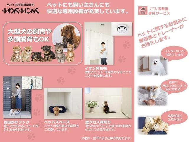 Ｃｌａｉｒ（クレール） その他