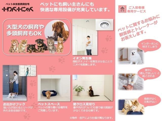 グリシーヌ その他