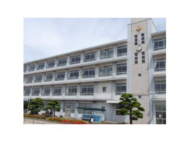 妻鹿小学校：225m