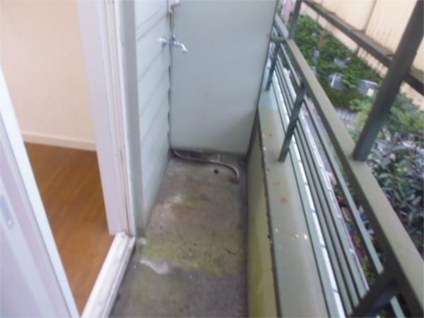 桜台ハイツ（205） 部屋画像