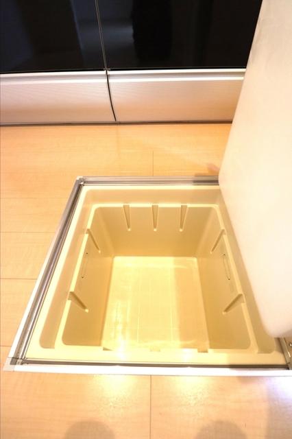 ラフィーネ氷川台（101） 部屋画像