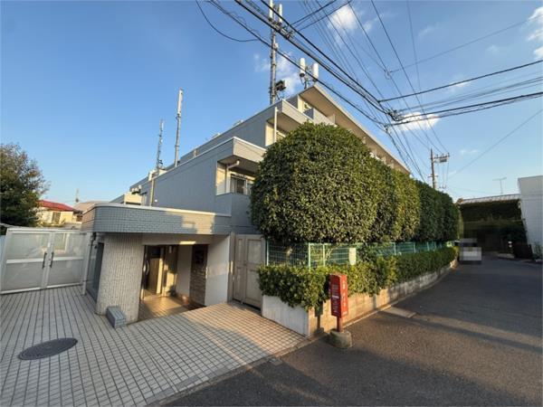 メゾンエクレーレ江古田（319） 外観