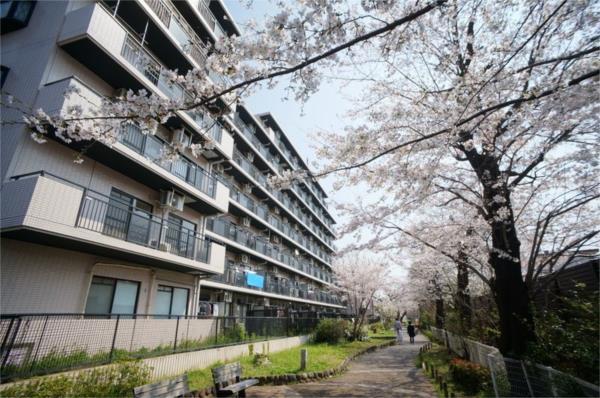 オーキッドレジデンス練馬北町（605） 外観
