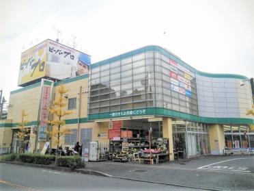 ビーバープロ宮前野川店：470m