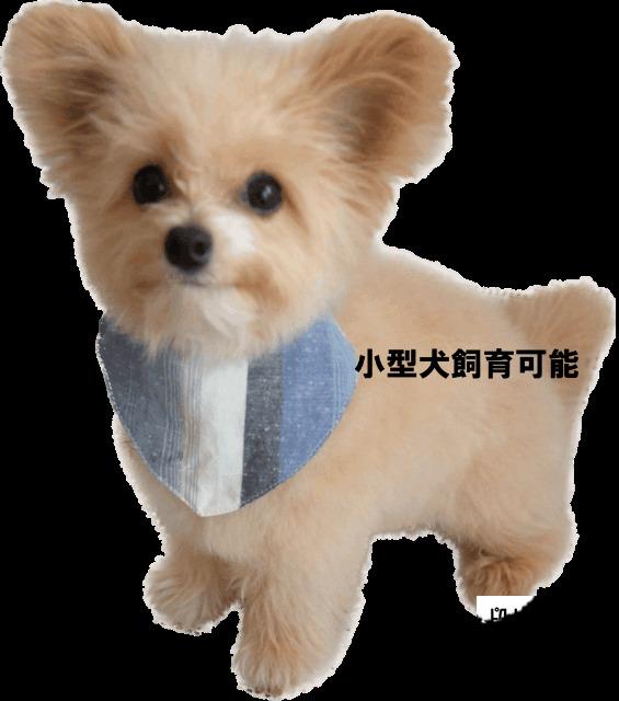 パストラルハイツ有馬 物件画像
