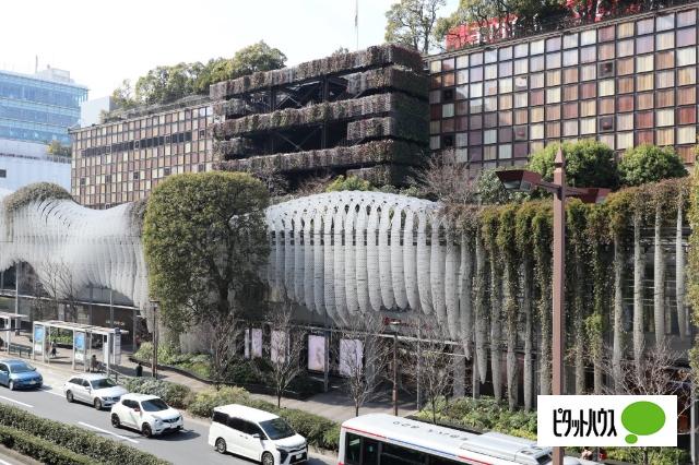 周辺環境画像