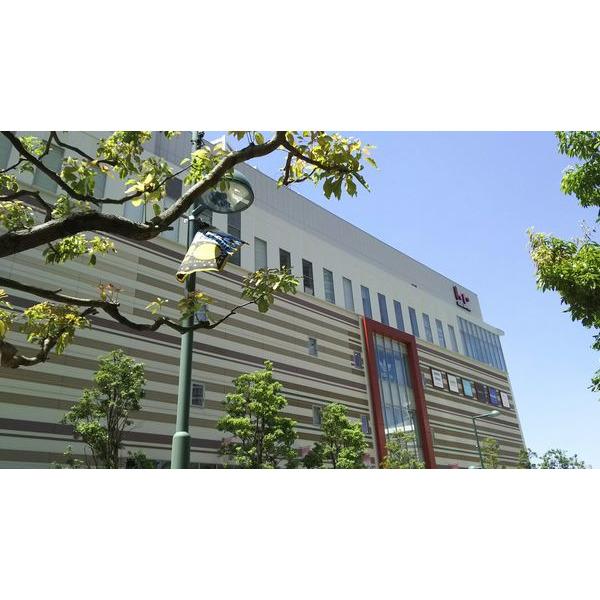 成城石井ららテラス武蔵小杉店：243m