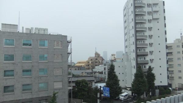 世田谷区玉川台マンション 眺望