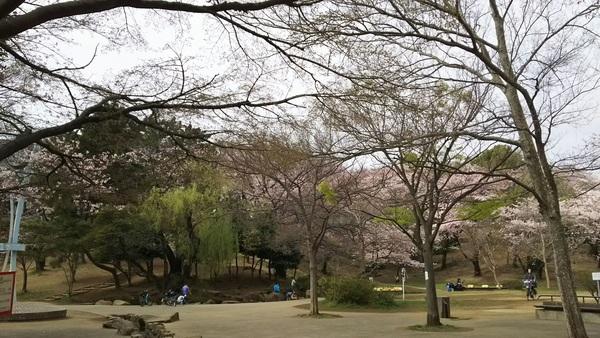 梶ケ谷第一公園：1277m