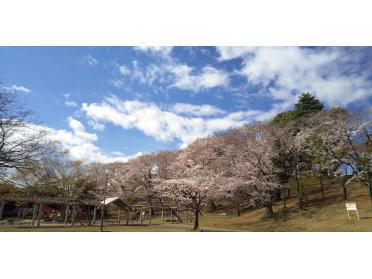 梶ケ谷第一公園：1400m