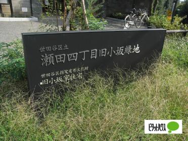 岡本下山小緑地：311m