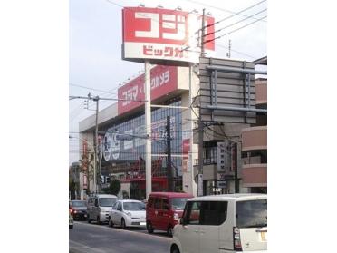 コジマドラッグ梶ヶ谷店：332m