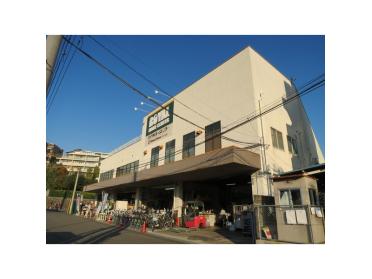 ロイヤルホームセンター宮前平店：1156m