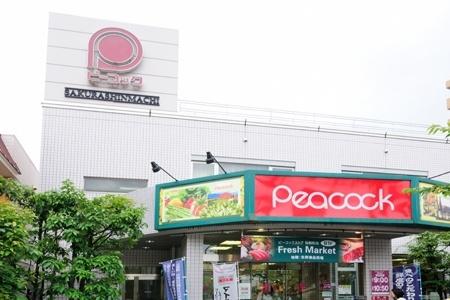 世田谷区世田谷マンション 周辺環境