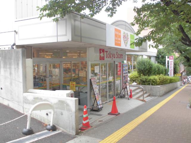 東急ストア宮崎台店：226m