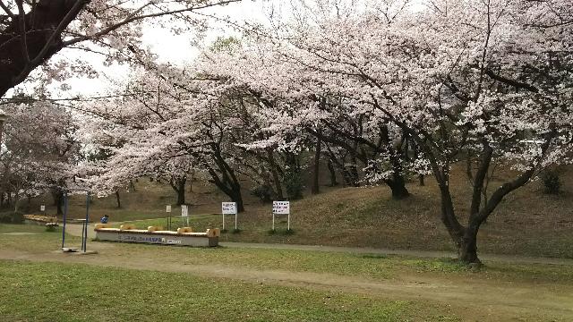梶ケ谷第一公園：333m