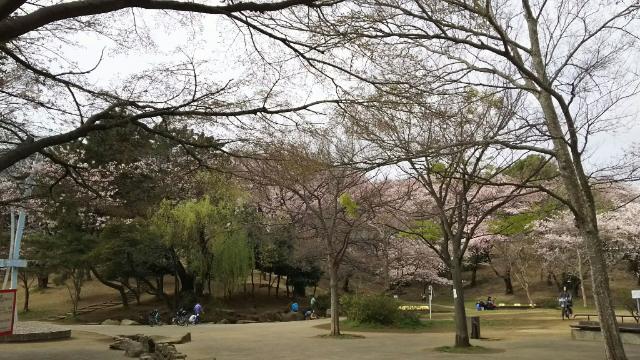 梶ケ谷第一公園：1380m