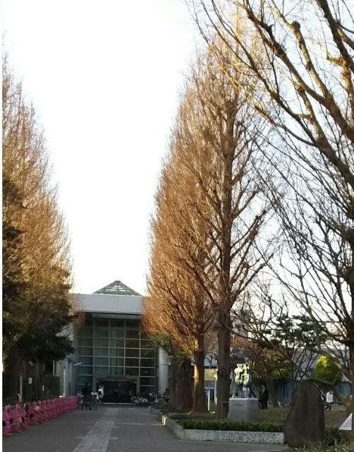 川崎市立高津図書館：590m
