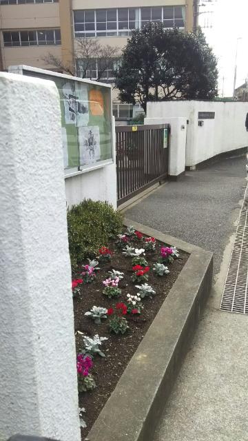川崎市立宮崎台小学校：309m