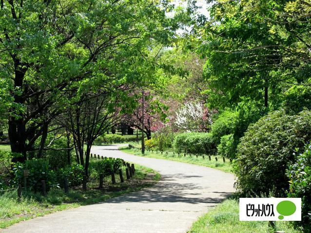 東京都立砧公園：305m