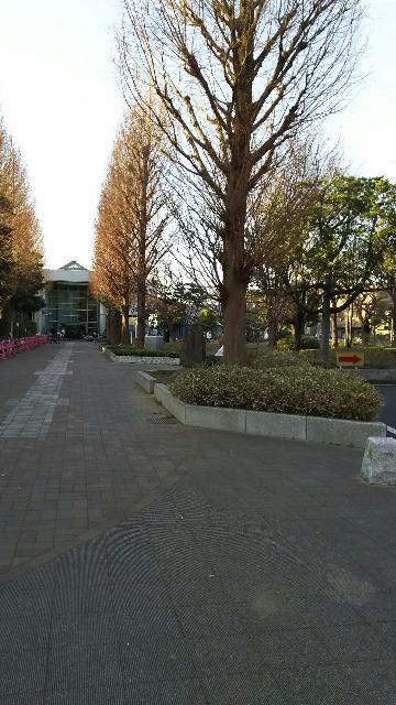 周辺環境画像