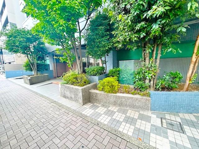 エントランス写真。 しっかりとした造りで明るく緑豊かなエントランス。 清掃・管理がきちんと施されています！