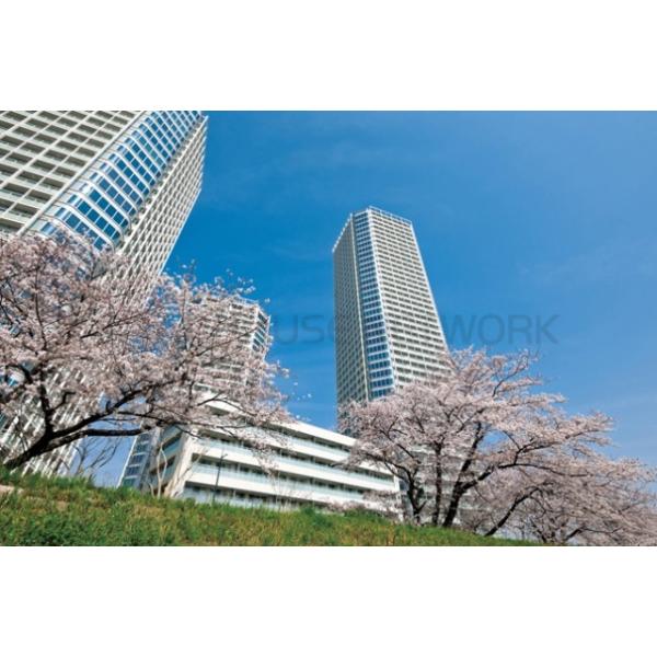 二子玉川ライズ　タワー＆レジデンス　タワーイースト