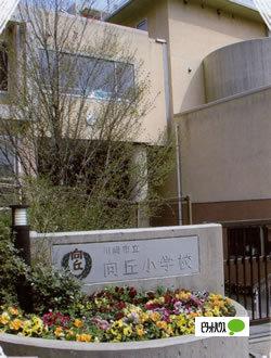 小学校