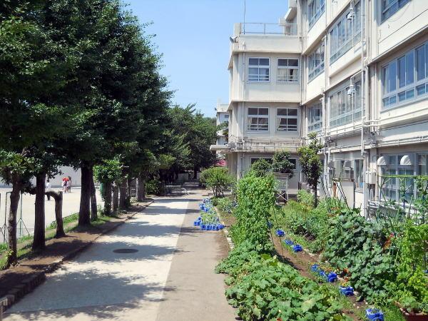 小学校