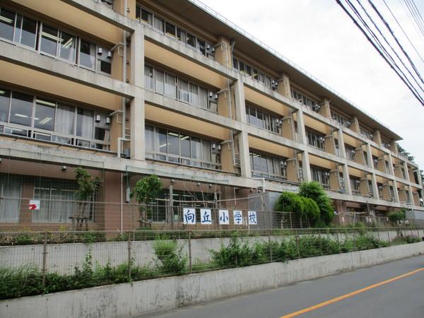 小学校