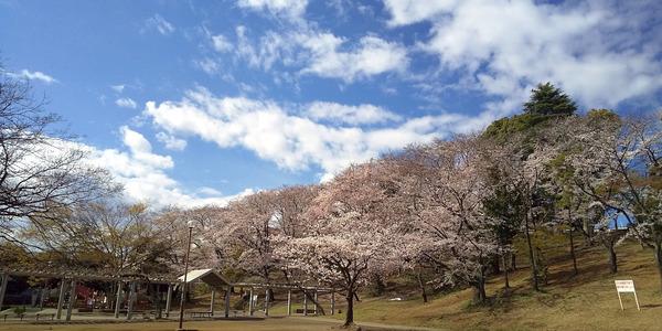 公園