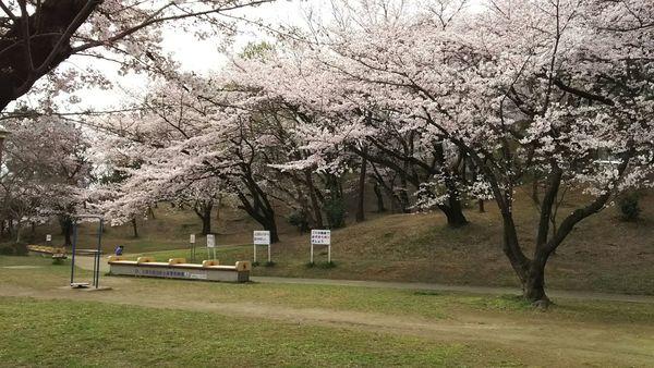 公園