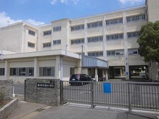 小学校