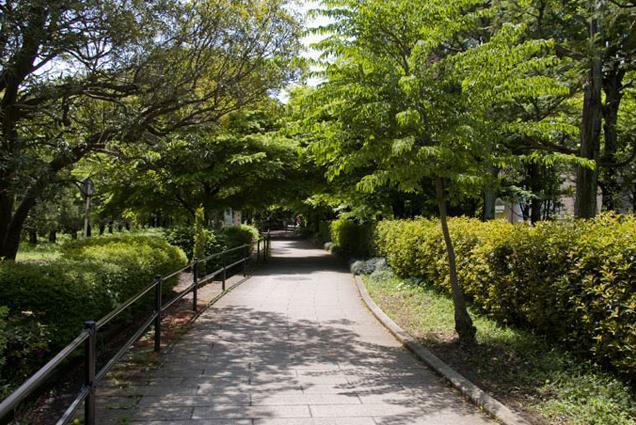 公園