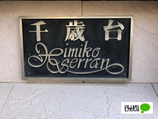 千歳台ヒミコセラン その他