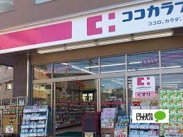 ドラックストア