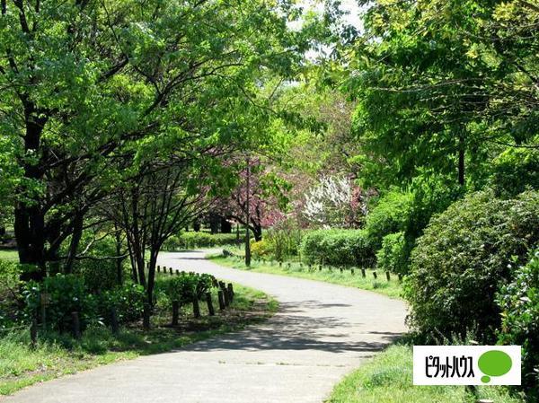 公園