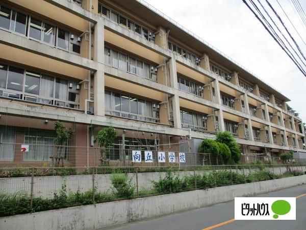 小学校