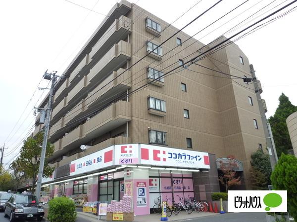 ドラックストア