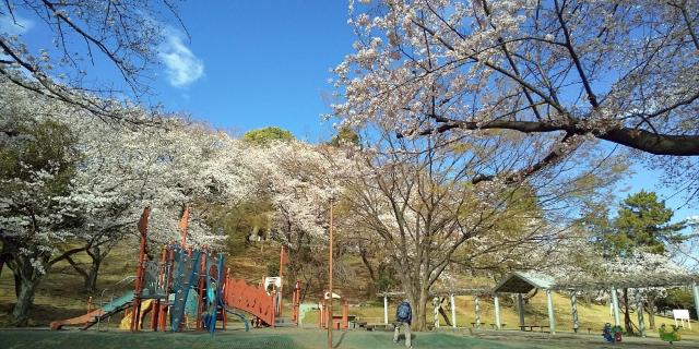 公園
