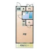 南西向き
