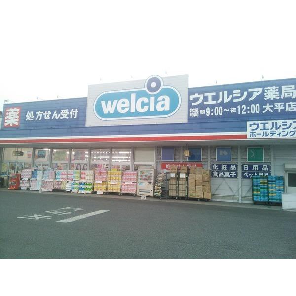 ウエルシア大平店：651m