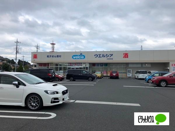 ウエルシア太田宝泉店：930m