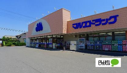 ウエルシア太田鳥山店：317m