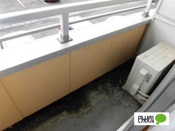 サンライズマンション　１号館（206） バルコニー