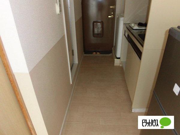 サンライズマンション　１号館（206） 部屋画像