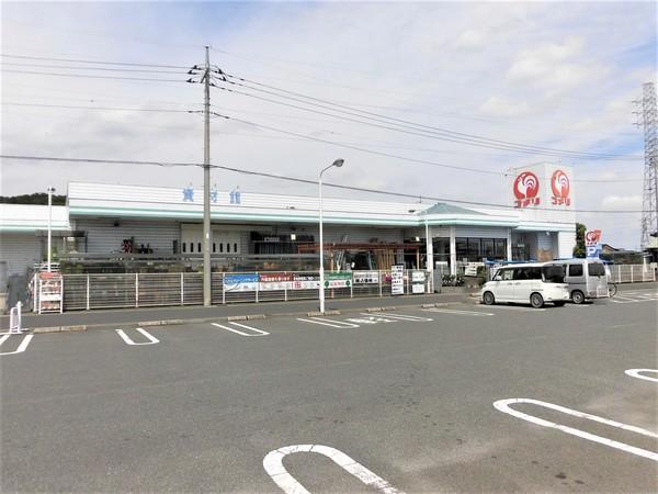 コメリハード＆グリーン栃木大森店：545m