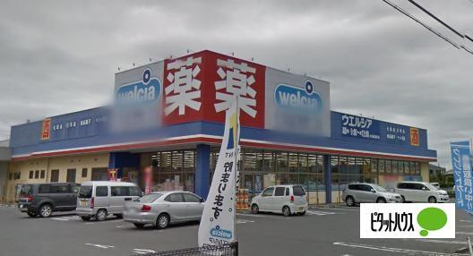クスリのアオキ新道店：825m