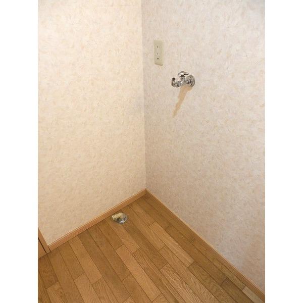 パラスト・イシハラ（105） 部屋画像