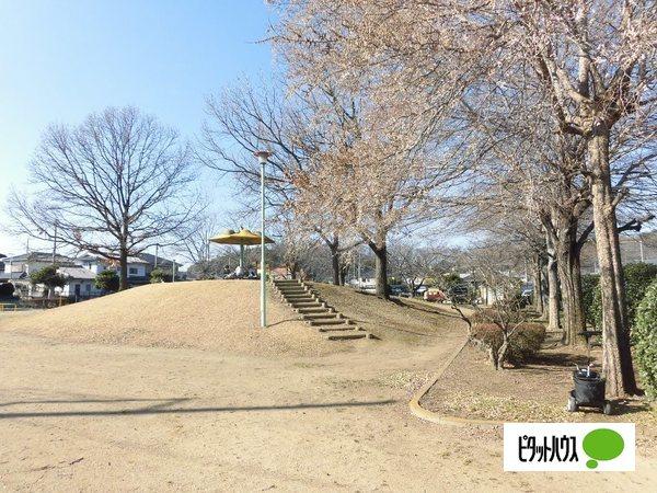八幡公園：1768m